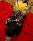 Анкета проститутки Элеонора - метро Замоскворечье, возраст - 28